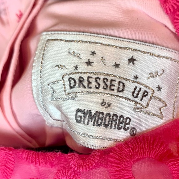 Gymboree Girls Special Occassion Lace Drop Waist Dress Fuchsia Pink NEW - Picture 7 of 13